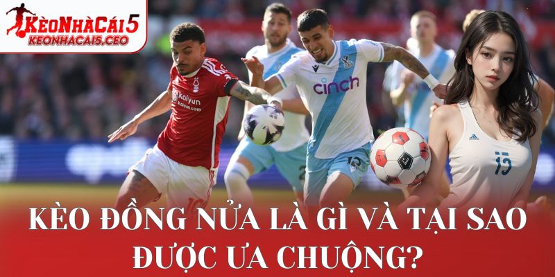 Kèo đồng nửa là gì và tại sao được ưa chuộng?