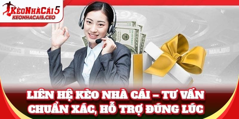 Liên Hệ Chúng Tôi – Tư vấn chuẩn xác, hỗ trợ đúng lúc