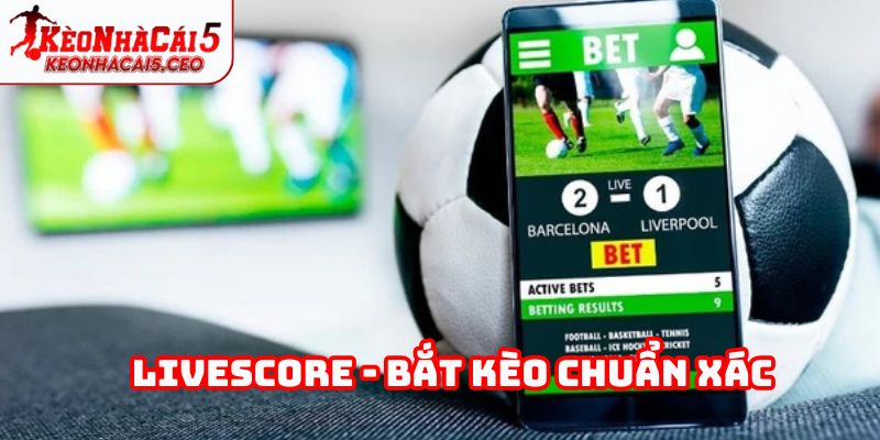 Livescore hỗ trợ bắt kèo bóng đá chính xác hơn