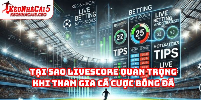 Tại sao livescore quan trong khi tham gia cá cược bóng đá