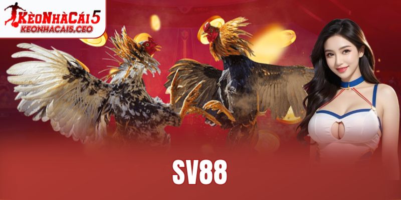 SV88